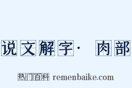 说文解字·肉部是什么意思的图片